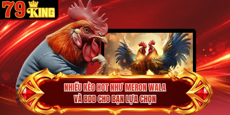 Nhiều kèo hot như Meron Wala và BDD cho bạn lựa chọn
